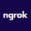 ngrok Inc.